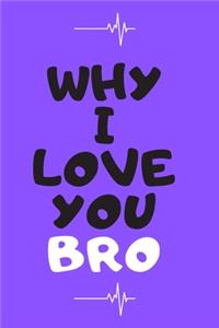 Why I Love You Brother Journal