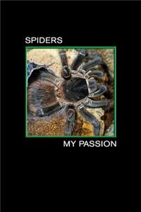 Spiders my Passion