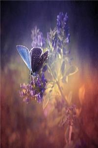 Schmetterling im Licht Notizbuch