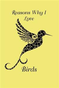 Reasons Why I Love Birds