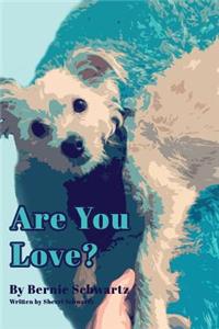 Are You Love?