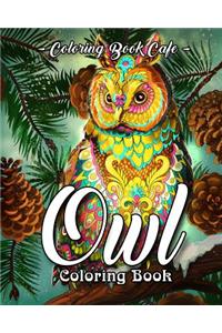 Owl Coloring Book
