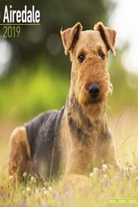 Airedale Calendar 2019