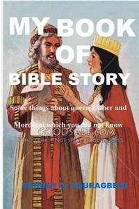 Bible Story