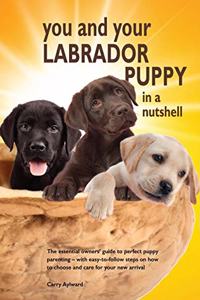 You and Your Labrador Puppy in a Nutshell