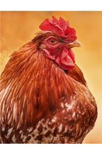Rooster Notebook