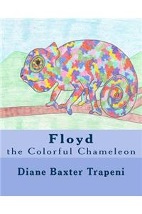 Floyd the Colorful Chameleon