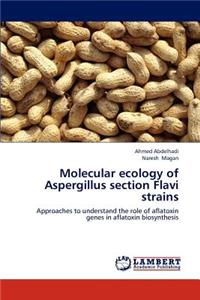 Molecular ecology of Aspergillus section Flavi strains