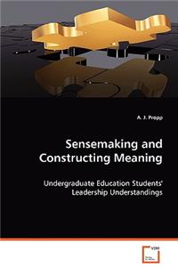 Sensemaking and Construction Meaning