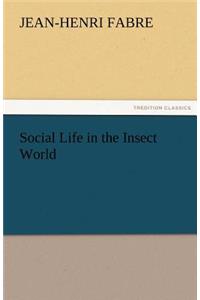 Social Life in the Insect World