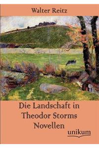 Landschaft in Theodor Storms Novellen
