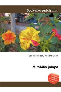 Mirabilis Jalapa
