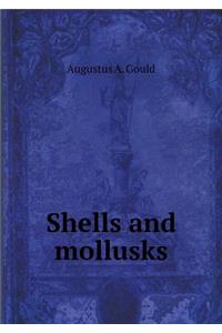 Shells and Mollusks