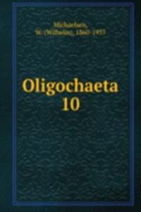 Oligochaeta