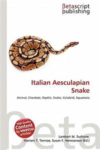 Italian Aesculapian Snake