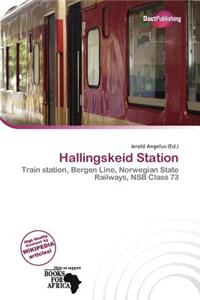 Hallingskeid Station