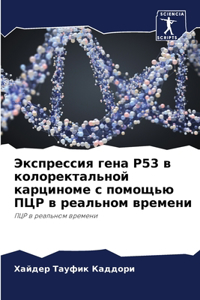 Экспрессия гена P53 в колоректальной карцин