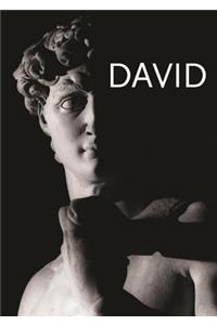 Michelangelo's David