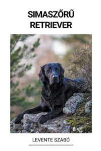 Simaszőrű Retriever