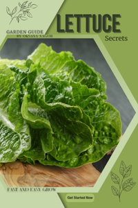 Lettuce: Garden guide, fast and easy grow