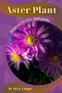 Aster Plant