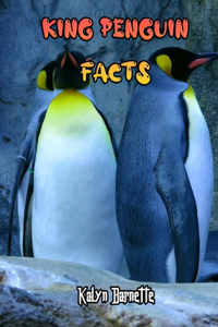 King Penguin Facts