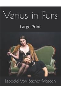 Venus in Furs