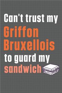 Can't trust my Griffon Bruxellois to guard my sandwich