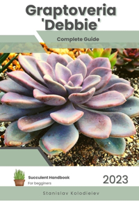 Graptoveria 'Debbie'