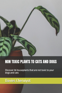 Non Toxic Plants to Cats and Dogs