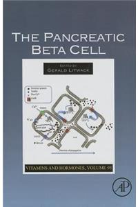 Pancreatic Beta Cell
