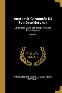 Anatomie Comparée Du Système Nerveux