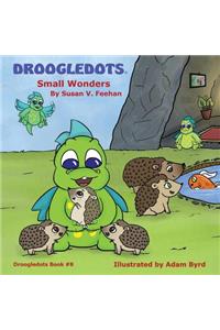 Droogledots - Small Wonders