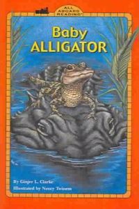 Baby Alligator