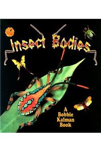 Insect Bodies