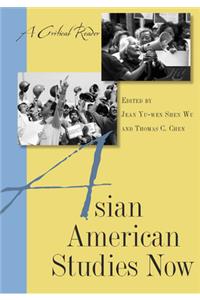 Asian American Studies Now: A Critical Reader