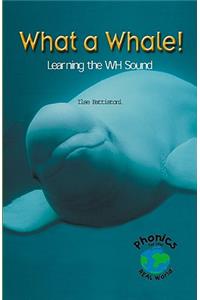 What a Whale! Learning the Wh Sound