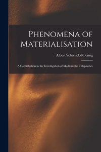 Phenomena of Materialisation