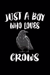 Just A Boy Who Loves Crows