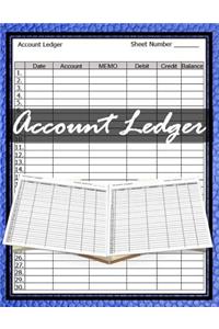 Accounting Ledger