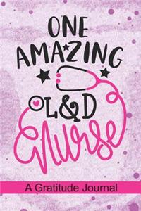 One Amazing L&D Nurse - A Gratitude Journal