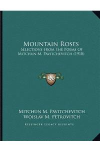 Mountain Roses