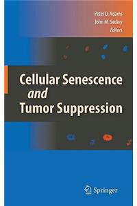 Cellular Senescence and Tumor Suppression