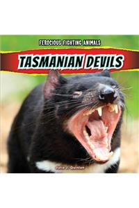 Tasmanian Devils