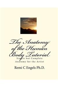 Anatomy of the Human Body Tutorial