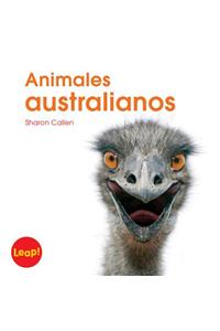 Animales Australianos