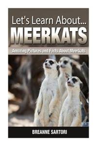 Meerkats: Amazing Pictures and Facts about Meerkats