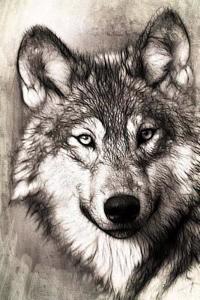 MindBlowing Wolf Journal 17
