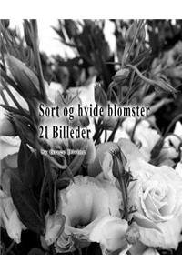 Sort og hvide blomster 21 Billeder