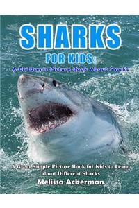 Sharks for Kids